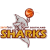 Southland Sharks