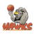 Bay Hawks