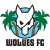 Wolues FC