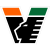 Football Club Unione Venezia