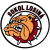 TJ Sokol Losina