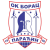 Borac Paracin
