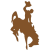 Wyoming Cowboys