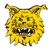 Ilves