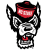 North Carolina State Wolfpack
