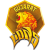 Gujarat Lions