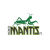 Kokomo Mantis