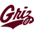 Montana Grizzlies