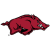 Arkansas Razorbacks