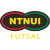 NTNUI Futsal