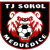 TJ Sokol Medvedice