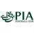 Pakistan International Airlines