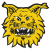 Ilves-Hockey Oy