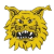 Ilves FS