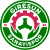 Giresun Sanayispor